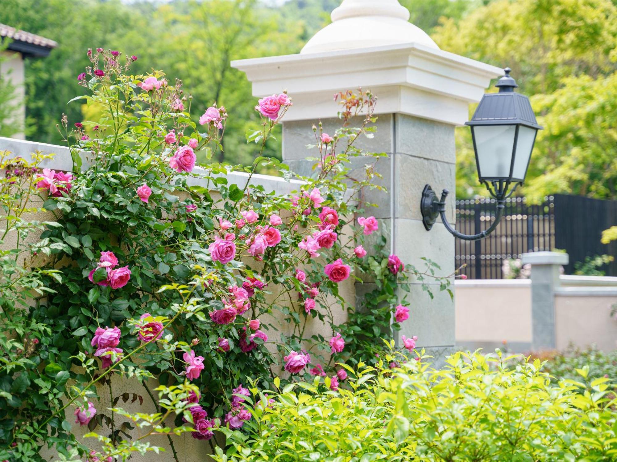 Le Grand Karuizawa Hotel And Resort Екстер'єр фото